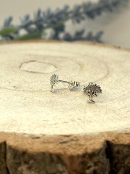 “Happy Birthday Mum” Sterling Silver Studs In A Bottle, 5 of 6