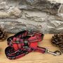 Tartan Christmas Dog Collar Bow Tie And Lead Gift Set, thumbnail 2 of 5