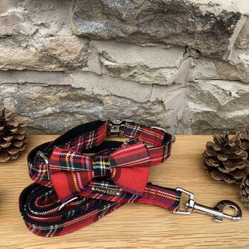Tartan Christmas Dog Collar Bow Tie And Lead Gift Set, 2 of 5