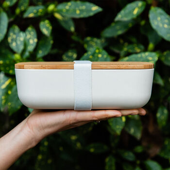 Bamboo Lunchbox, 7 of 10