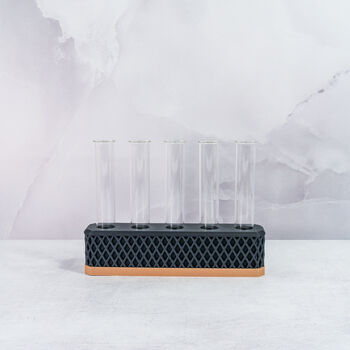 Propagation Station | Wood And Carbon, 4 of 4