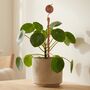 Copper Spiral Plant Support Stake, thumbnail 1 of 9