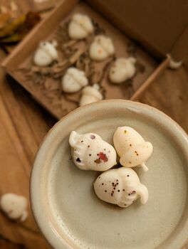 Roasted Chestnut Autumnal Wax Melt Box For Autumn Decor, 6 of 7