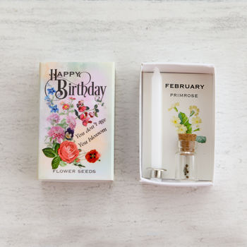 February Birth Flower Seeds And Birthday Candle Gift, 3 of 8
