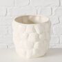 Seashell Ceramic Planter, thumbnail 2 of 4