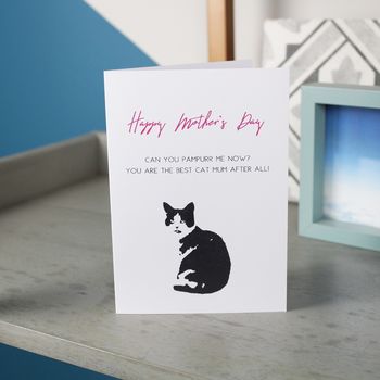 Happy Mother's Day From The Cat Card, 3 of 5