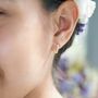 Sterling Silver Mini Crystal Huggie Hoop Earrings, thumbnail 3 of 12