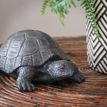 Tortoise Ornament, 2 of 2