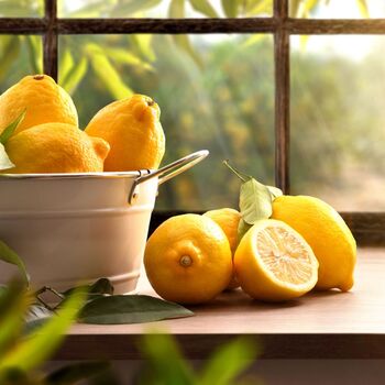 Lemon Citrus Tree In Five Litre Pot, 3 of 8