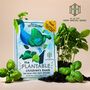 Personalised Plantable Basil Children's Story Book, thumbnail 1 of 6