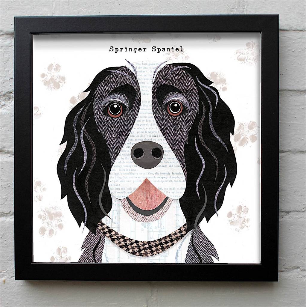 Black And White Springer Spaniel Dog Print By Simon Hart ...