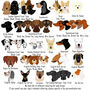 Personalised Dog Tag And Collar Gift Set, thumbnail 7 of 12