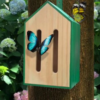 Personalised Wooden Butterfly House, 3 of 6
