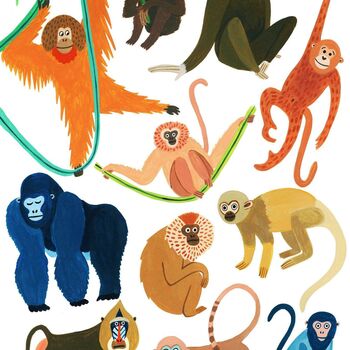 Monkey Art Print, 3 of 4