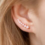 Rose Gold Plated Crystal Ear Climber Women's Earrings, thumbnail 1 of 3