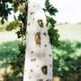 Woodland Bamboo Organic Cotton Muslin Swaddle Blanket, thumbnail 4 of 6