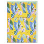 Colourful Parrot Pattern 'Happy Birthday' Card, thumbnail 1 of 2
