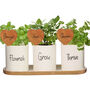 Personalised Ceramic Herb Planter Set, thumbnail 2 of 9