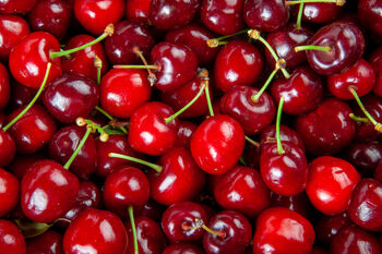 Cherry Tree, 'Summit', 10 of 12