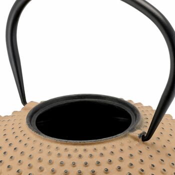 Xilin Cast Iron Teapot 1250ml Enamel Inner With Filter, 6 of 9