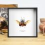 Atlas Beetle Insect Bug Moth Butterfly Box Frame Entomology Taxidermy Interior Design Modern Home Decor Wall Hanging Gift Ornament 10x10, thumbnail 1 of 3