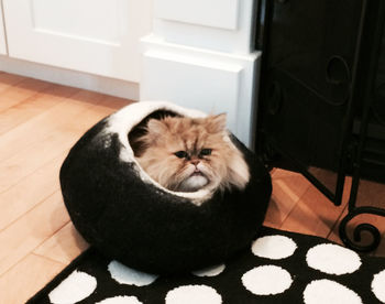 Cat Bed Cave Cocoon And Ball, 2 of 3