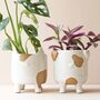 Natural Ceramic Cat Planter, thumbnail 4 of 4