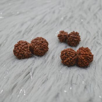 Nepali Gauri Shankar Rudraksha Beads, 3 of 9