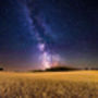 'Fields Of Gold' Milky Way Fine Art Giclee Print, thumbnail 4 of 8