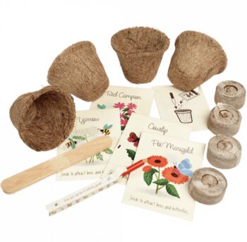 Flower Growing Kit Bee And Butterfly, 3 of 3