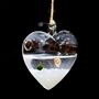 Hanging Glass Heart Marimo Moss Ball Terrarium, thumbnail 1 of 4