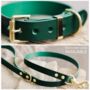 Personalised Leather Dog And Puppy Collars, thumbnail 3 of 10