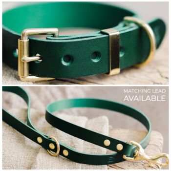 Personalised Leather Dog And Puppy Collars, 3 of 10