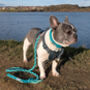Make Your Own Mint Green Dog Lead Craft Kit, thumbnail 3 of 5