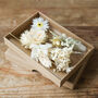 Set Of Four Natural Dried Flower Hair Clips, thumbnail 1 of 3