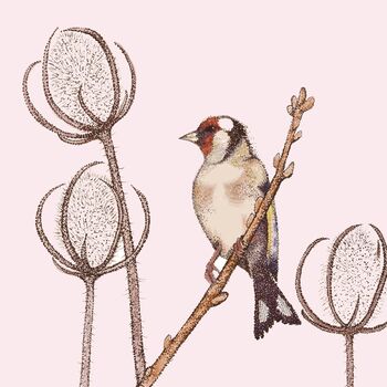 'Goldfinch' Print, 3 of 3