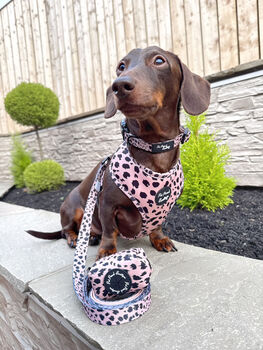 Beige And Black Scruffy Dots Dog Collar, 5 of 5