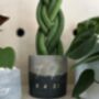 Personalised Concrete Planter With Plant, thumbnail 3 of 7
