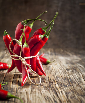 Chilli Plants, 'Super Chilli', 8 of 11