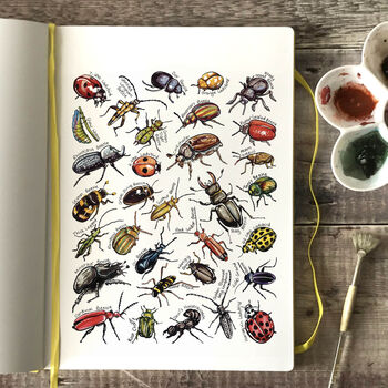 Beetles Of Britain Wildlife Print, 3 of 9