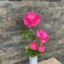 Cerise Pink Artificial Silk Ranunculus Mothers Day Gift, thumbnail 6 of 6