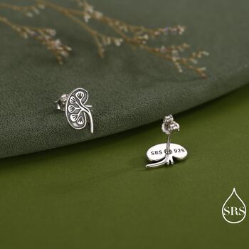 Anatomical Kidney Stud Earrings In Sterling Silver, 4 of 12