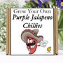 Grow Your Own Chilli Plant. Purple Jalapeno Seeds Kit, thumbnail 1 of 6