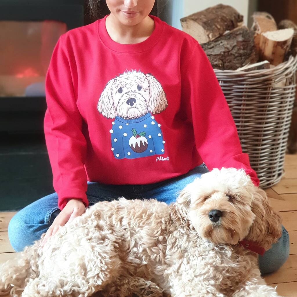 Personalised Christmas Pudding Dog Jumper Sweater By Syd&amp;Co