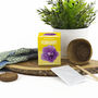 Grow Your Own Birth Flower Choose Your Month, thumbnail 4 of 12
