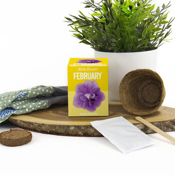 Grow Your Own Birth Flower Choose Your Month, 4 of 12