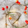 Woodland Berry LED Fairy Lights Two Metre Battery, thumbnail 2 of 3