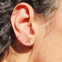 Cancer Star Sign Constellation Astrology Tiny Earrings, thumbnail 2 of 4