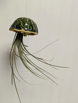 Ceramic Shell Jellyfish Air Plant Gift For Plant Lover, 4 of 12