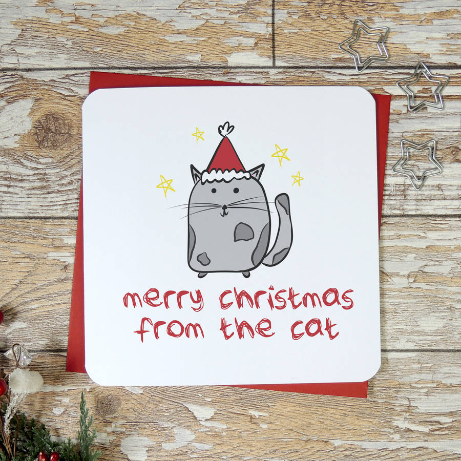 merry christmas from the cat xmas card by parsy card co ...